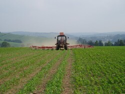 Pěstování směsky se sójou v ČR (Sasov)